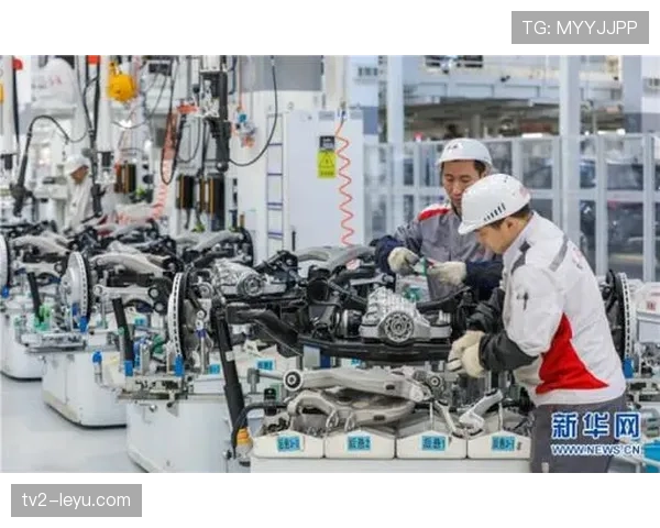 维特斯整体实力引关注，未来表现成焦点