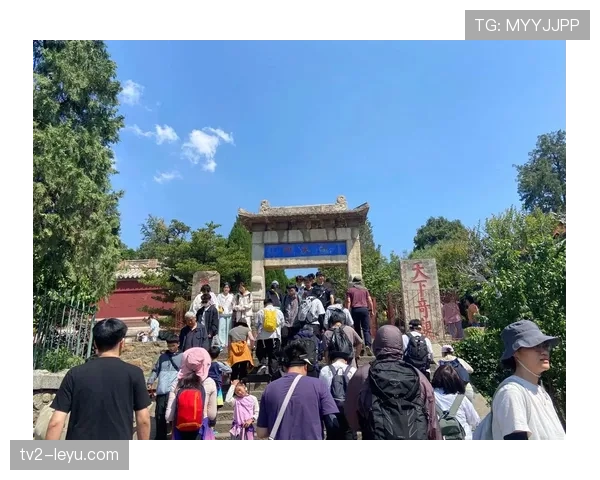 山东泰山展现顽强信念与团结拼搏精神，持续保持强劲竞争力