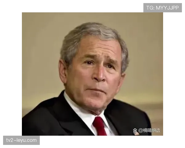 权昶勋在国际赛场的表现持续引发热议，影响力显著提升